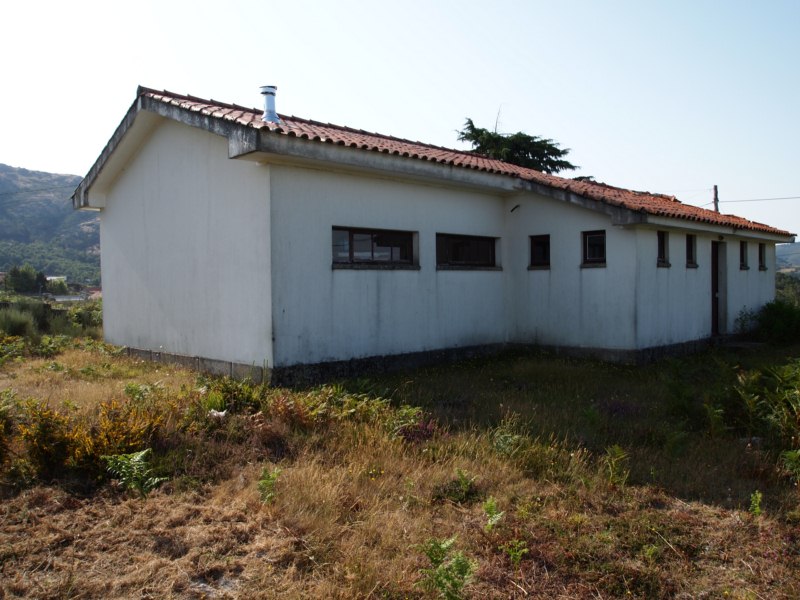 EScola Bobal 2